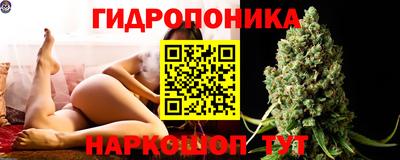 jwh Будённовск