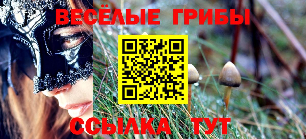 Галлюциногенные грибы MAGIC MUSHROOMS Мценск